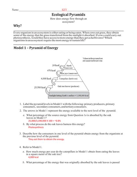 Showing top 8 worksheets in the category - Pogil Activities For Highschool Biology Ecological Pyramid. Some of the worksheets displayed are Ecological pyramids pogil answer key, Ecological pyramids, Ecological pyramids student v6, Succession pogil answer key, Ecological interactions activity teacher guide, Energy flow through an …